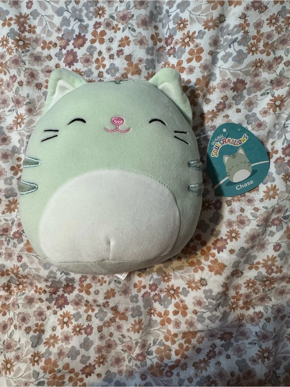 Squishmallows pet smoke